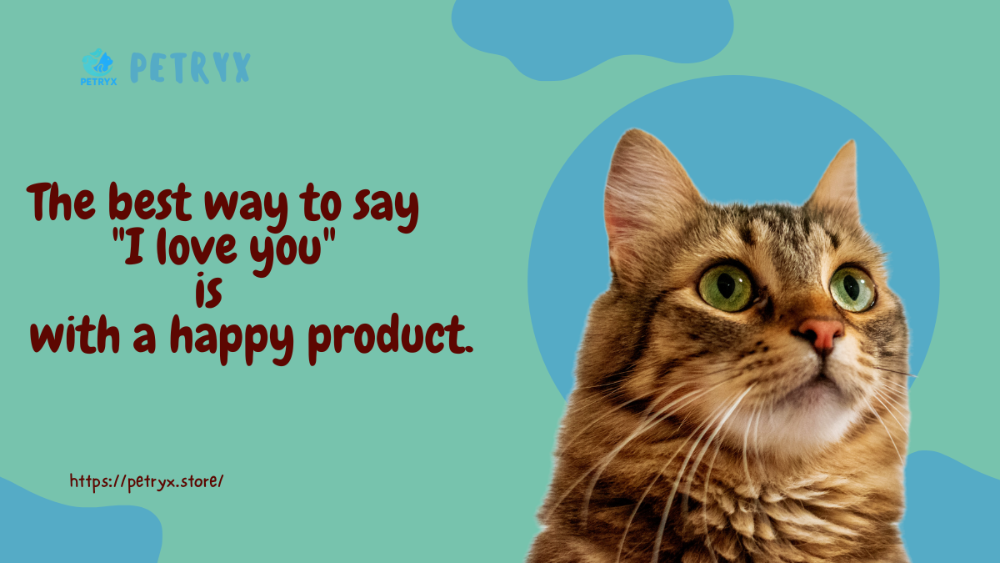 Cat with a quote about love and a happy product on a green and blue background