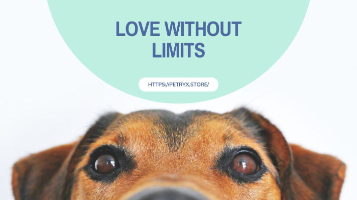 Dog's face with 'Love Without Limits' text and a website URL on a light green circle.