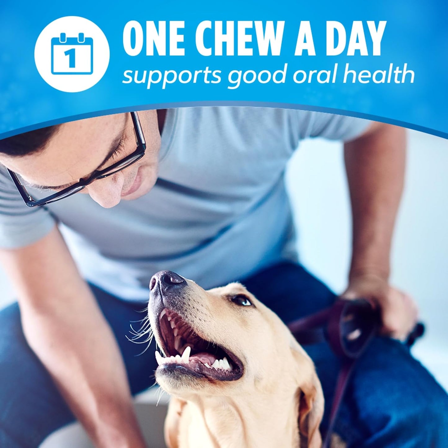 Daily Oral Care Dog Treats for Small and Medium Dogs, Chewy Dental Treat to Freshen Breath and Fight Tartar, Chicken Flavor, 28.5 Oz., 40 Chews - 40 Ct. Pouch