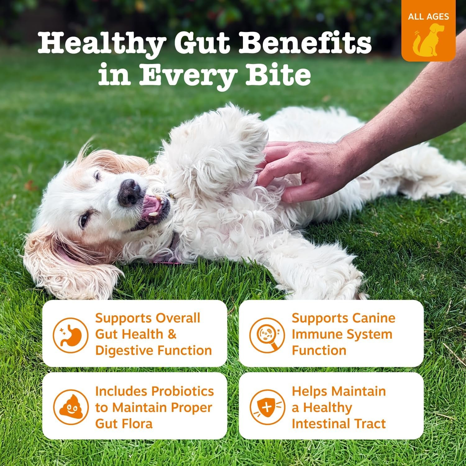 Probiotic Bites + Probiotic Powder for Dogs
