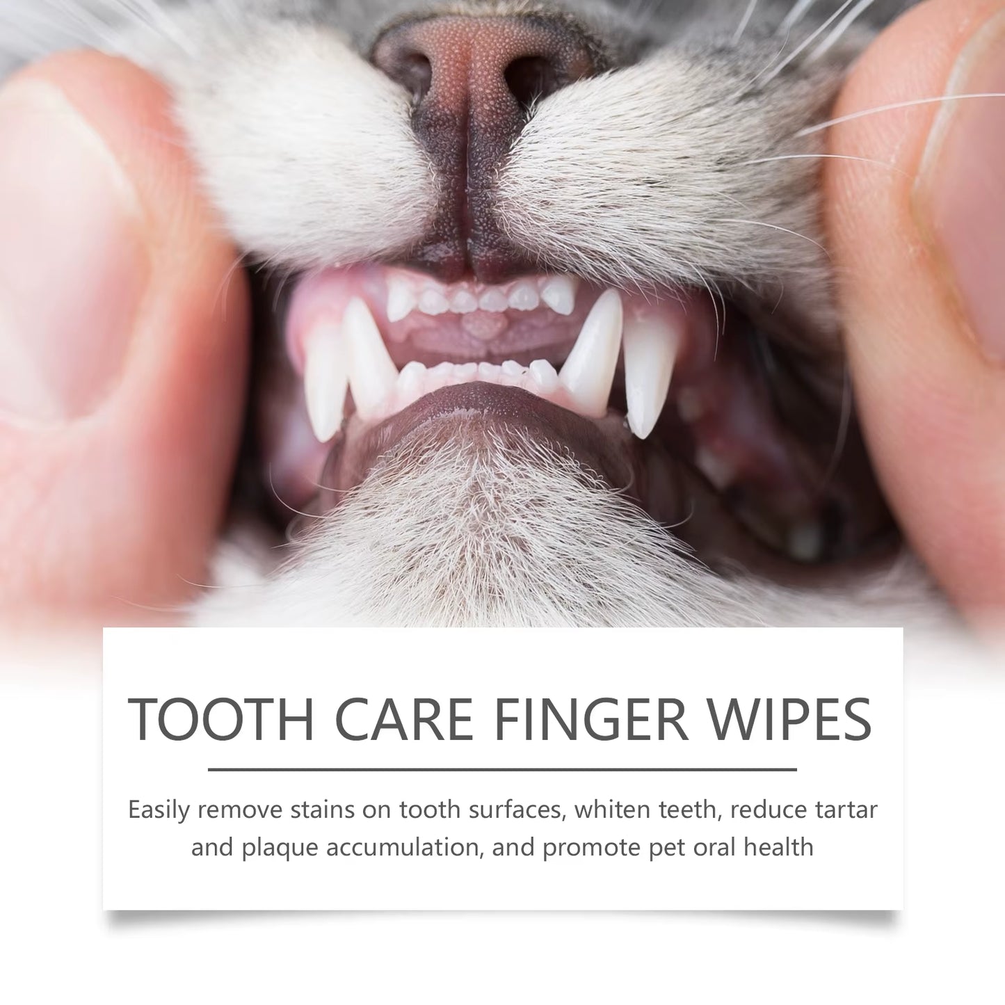 Pet Dental Cleaning Wipes for Cats and Dogs Natural Eliminator Bad Breath Cleaning Stains Pet Dental Finger Wet Wipes