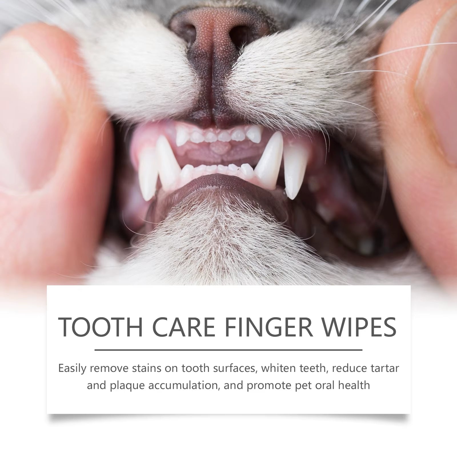 Pet Dental Cleaning Wipes for Cats and Dogs Natural Eliminator Bad Breath Cleaning Stains Pet Dental Finger Wet Wipes