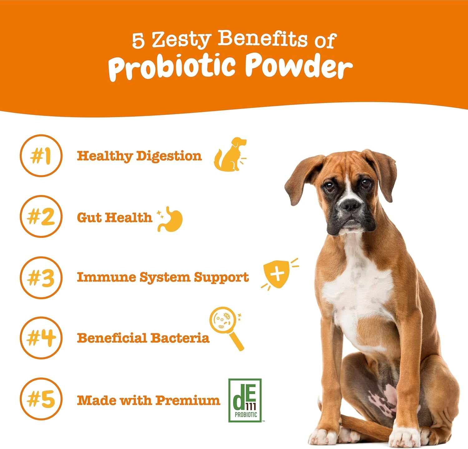 Probiotic Bites + Probiotic Powder for Dogs