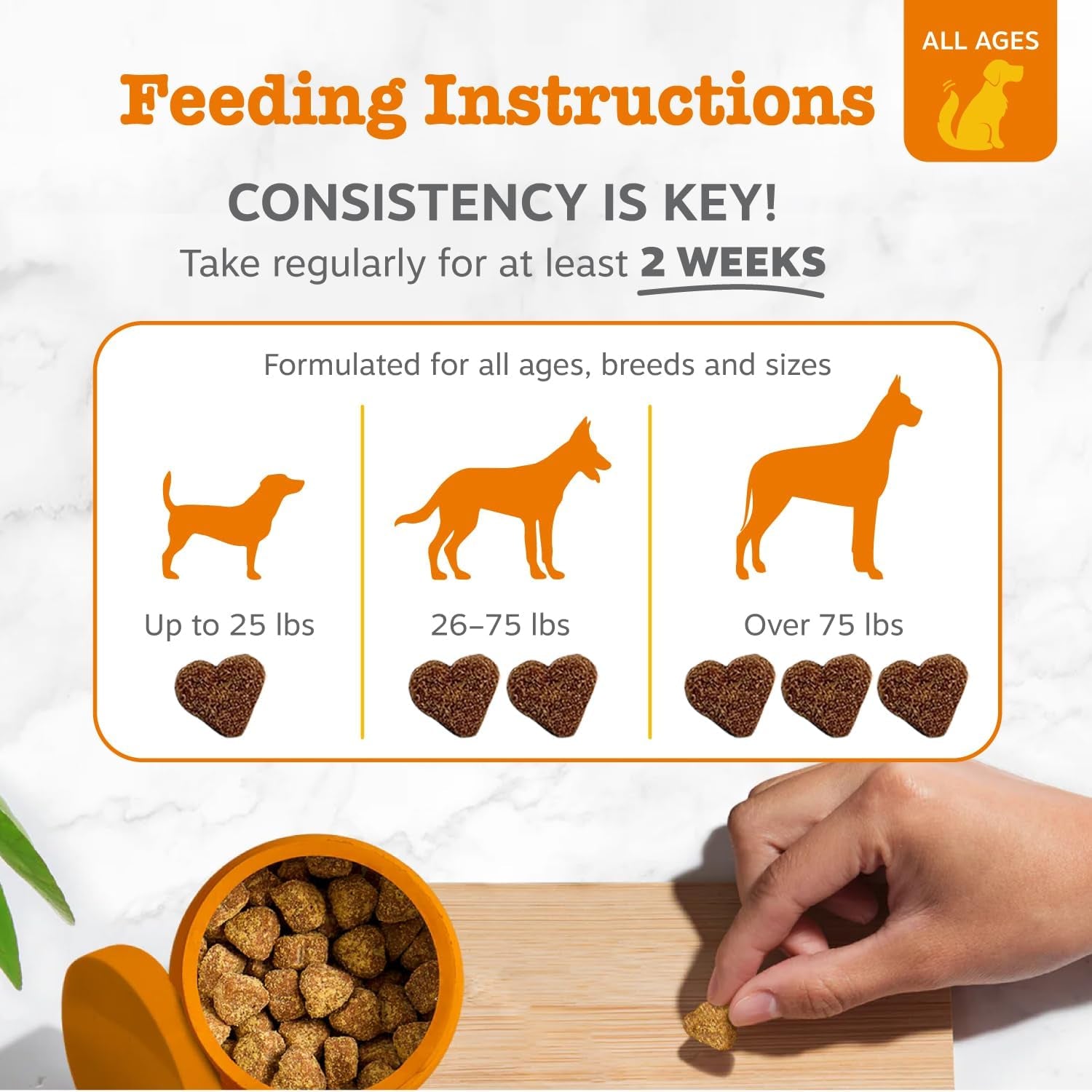 Probiotic Bites + Probiotic Powder for Dogs